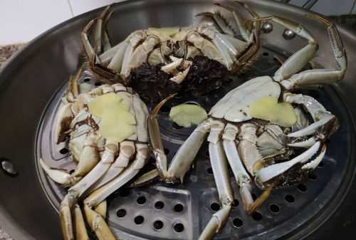 三江螃蟹蒸多長(cháng)時(shí)間
