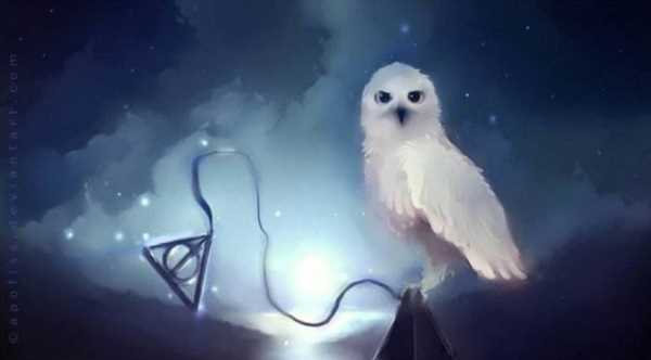 波特家族為什么富有,哈利波特的父母都是魔法師嗎圖6