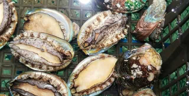 鮑魚(yú)要去內臟嗎，鮑魚(yú)蒸地時(shí)候要去內臟嗎？圖3