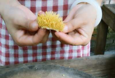 為什么薜荔雄果不能吃,野生薜荔果的吃法大全圖3