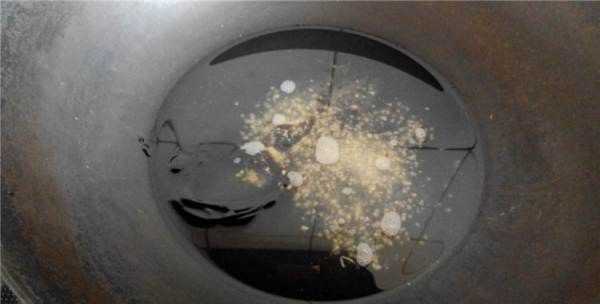 西蘭花可以蒸著(zhù)吃嗎,西蘭花可以蒸著(zhù)吃圖10