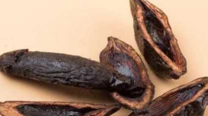 檳榔有酒精,檳榔有酒精含量嗎圖4