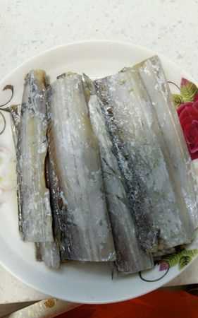 帶魚(yú)放冰箱一年能吃嗎