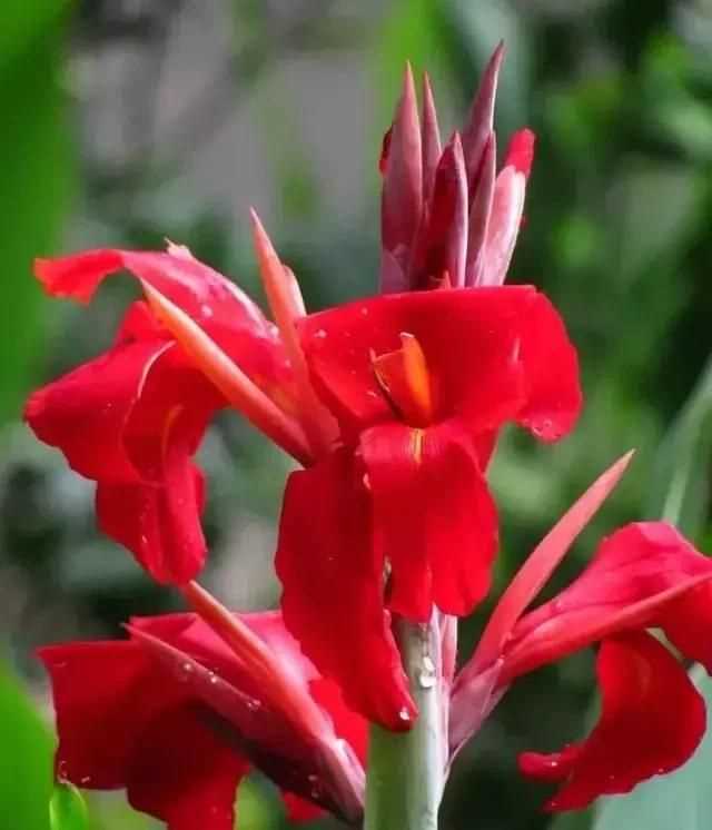 藍色的象征意義和內涵，顏色象征意義是什么？所有歷史時(shí)期同顏色對所有人有相同意義嗎？圖2