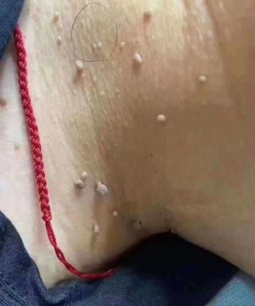 猴子是用什么來(lái)辨味道的