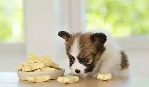 猴子是用什么來(lái)辨味,猴子是用什么來(lái)辨味道的圖2