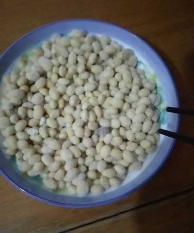 黃豆發(fā)酵長(cháng)白毛是發(fā)好了,黃豆醬捂霉長(cháng)出白色的毛正常嗎圖10