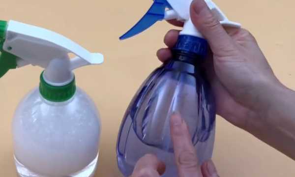 如何清理紗窗上的柳絮,紗窗的柳絮怎么清理圖13