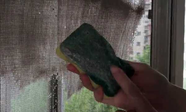 如何清理紗窗上的柳絮,紗窗的柳絮怎么清理圖15