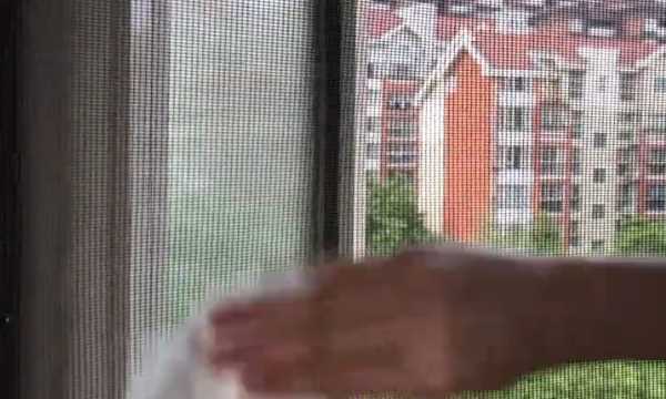 如何清理紗窗上的柳絮,紗窗的柳絮怎么清理圖18
