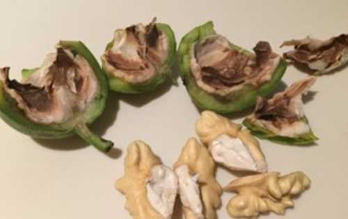 生核桃怎么做簡(jiǎn)單好吃,生核桃怎么吃圖4