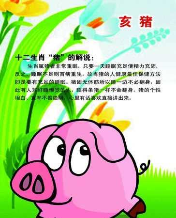 雜七雜八是什么生肖