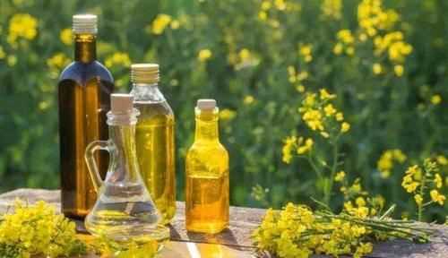 我國健康成人每人每天適宜的烹調油攝入量為多少克?