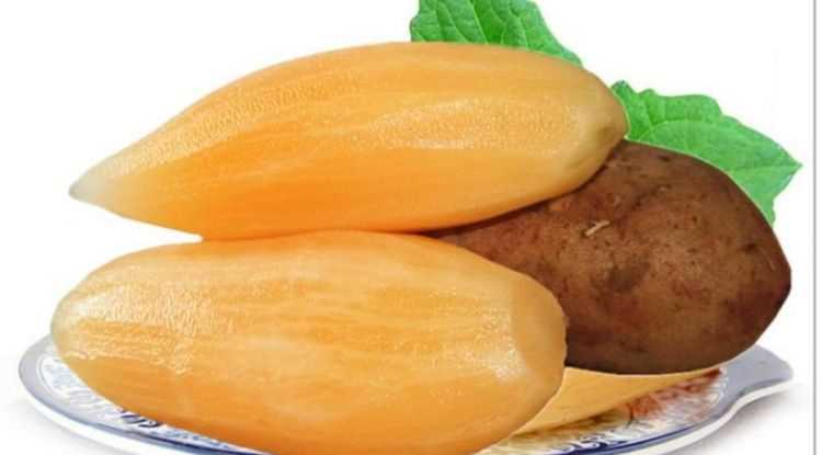 雪蓮果隔夜可以吃嗎