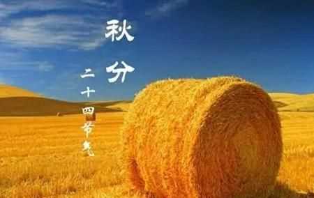 秋分當天吃什么食物