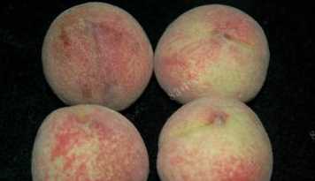 什么可以清除桃子表面的細毛,桃子去毛怎么洗干凈圖2