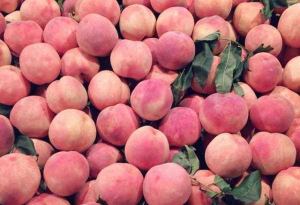 什么可以清除桃子表面的細毛,桃子去毛怎么洗干凈圖19