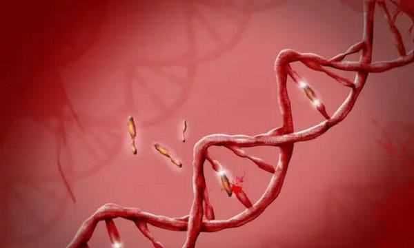 o型血為什么是萬(wàn)能血,o型血為什么是萬(wàn)能血圖7