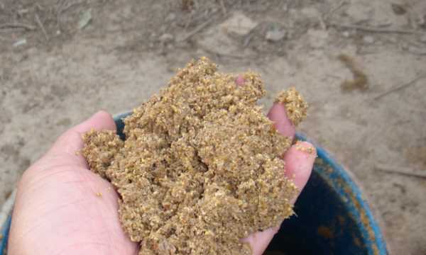 豆渣曬干可以當花土,豆渣能做花的肥料嗎?圖1