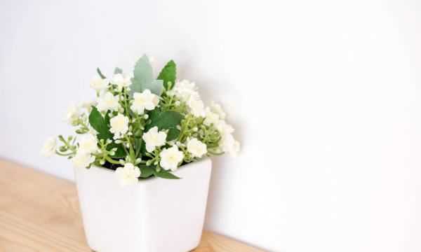 白糖水可以當生根水,糖水能作為生根水泡玫瑰老樁用嗎圖2