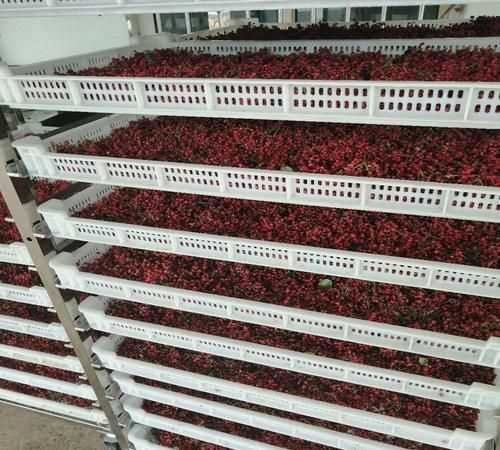 花椒烘干最佳的時(shí)間和溫度是多少度