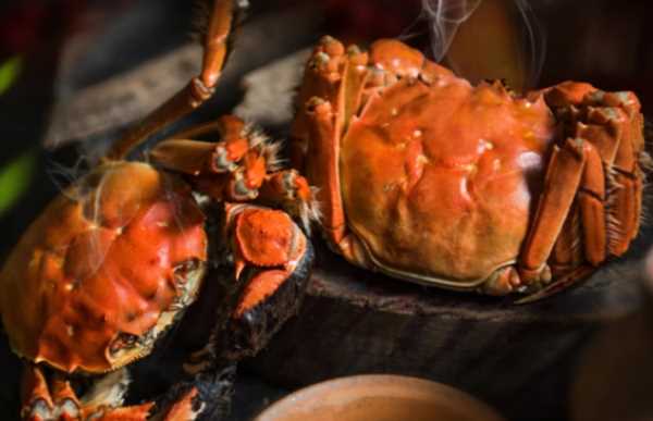 吃大閘蟹的季節是幾月,大閘蟹的季節是幾月圖2