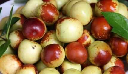 冬棗放久了會(huì )臭嗎