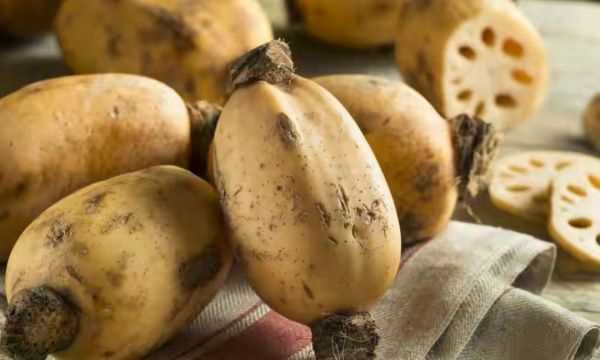 藕有幾個(gè)孔的區別,買(mǎi)藕時(shí)注意什么圖3