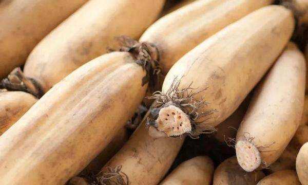 藕有幾個(gè)孔的區別,買(mǎi)藕時(shí)注意什么圖10