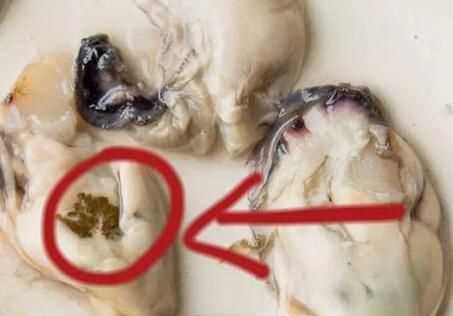 生蠔哪些部位不能吃
