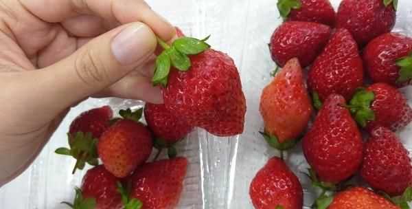 草莓長(cháng)毛了旁邊的還能吃嗎