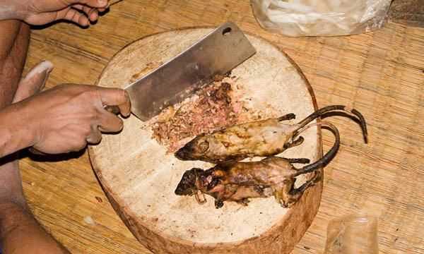 老鼠肉可以吃,老鼠肉可以吃么圖3