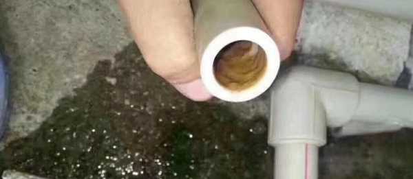 水管青苔堵塞如何疏通,黑色水管內壁會(huì )長(cháng)青苔嗎圖7