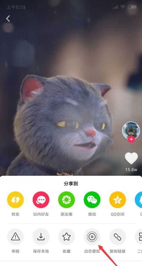 五個(gè)小貓咪搖頭是什么意思啊