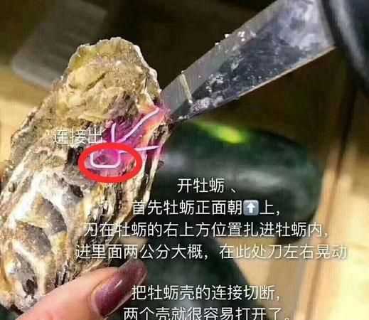 生蠔的眼睛長(cháng)在哪里