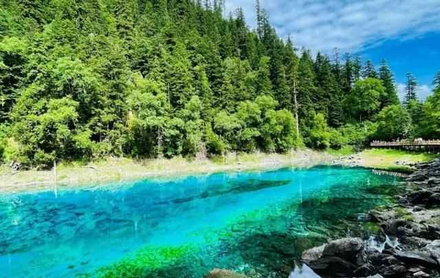 九寨溝位于四川的什么位置?