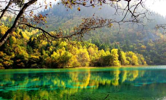 九寨溝在什么地方,九寨溝位于四川的什么位置?圖4