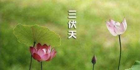 什么時(shí)候初伏天開(kāi)始,2021三伏天從什么時(shí)候開(kāi)始到什么時(shí)候結束