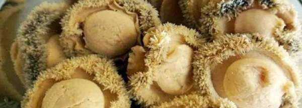 小干鮑魚(yú)仔泡發(fā)5小時(shí)可以,干鮑魚(yú)要泡多久才能煲湯圖1