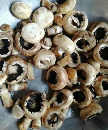 在野外采的蘑菇怎么處理