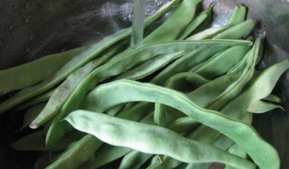 豆角炒肉怎么做好吃,豆角炒肉片的家常做法圖3