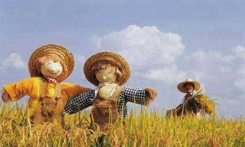 稻草人具有什么樣的品質(zhì),稻草人具有什么樣的品質(zhì)為什么圖3