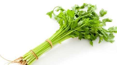 芹菜和水芹菜的區別在哪里
