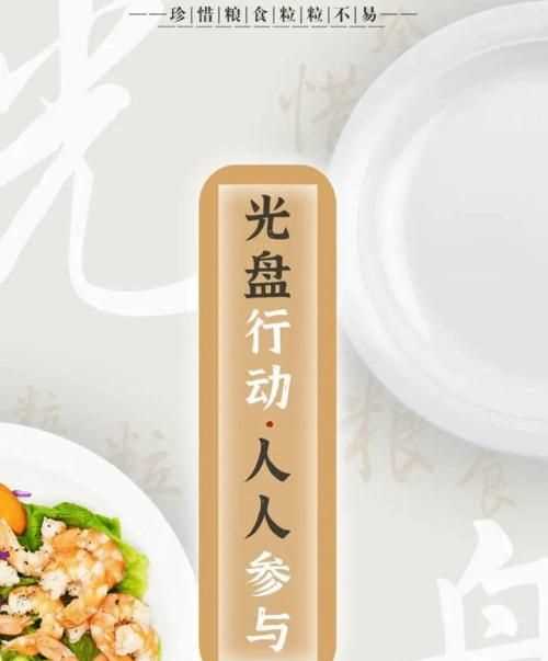 光盤(pán)行動(dòng)是什么時(shí)候開(kāi)始