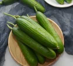 黃瓜怎么凍到冰箱保存,黃瓜是常見(jiàn)的蔬菜嗎圖1