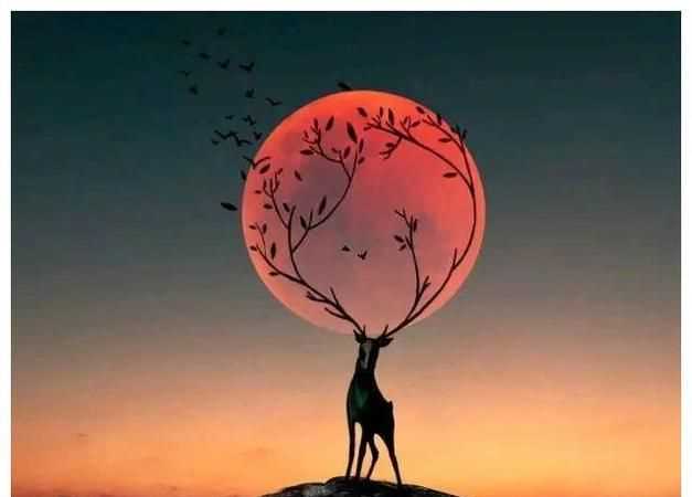 有深度有涵養的句子名人名言