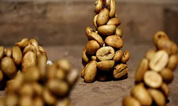 咖啡種類(lèi)排行榜前十名,世界十大咖啡排名 貓屎圖3