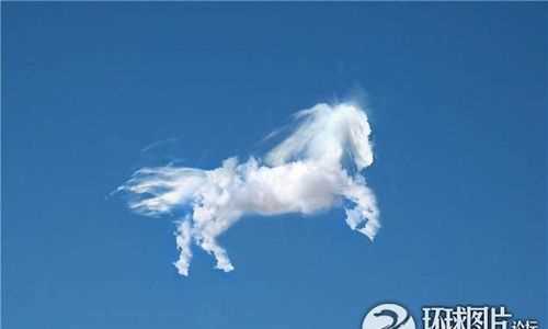 神馬都是浮云怎么解釋