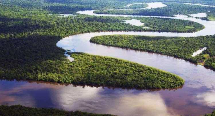 亞馬遜河最窄處僅12公里，為何不在上面修橋