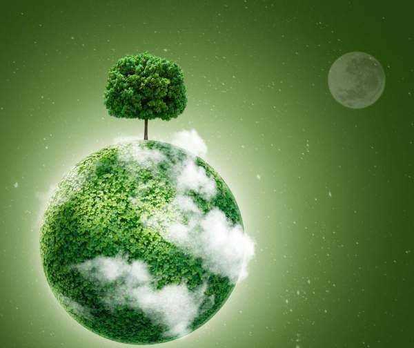 樹(shù)木的作用和好處視頻,樹(shù)的作用和用途有哪些圖片圖2